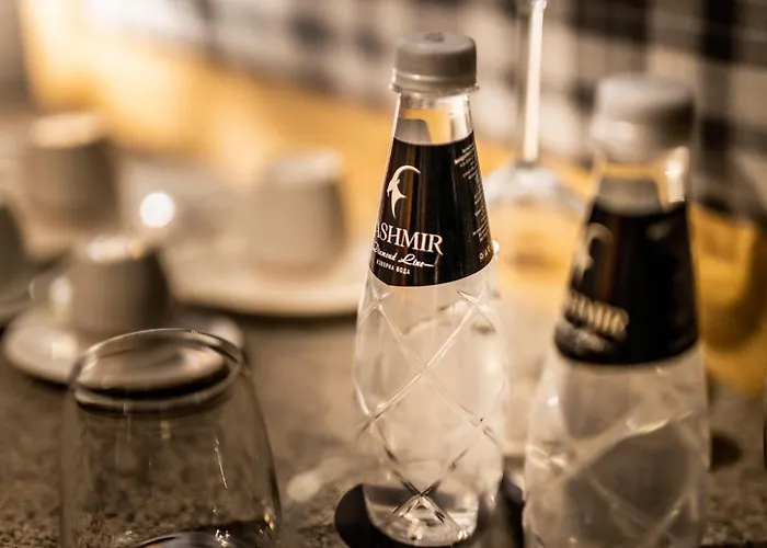 Kashmir Wellness & Adults Only Velingrad